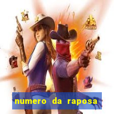 numero da raposa jogo do bicho